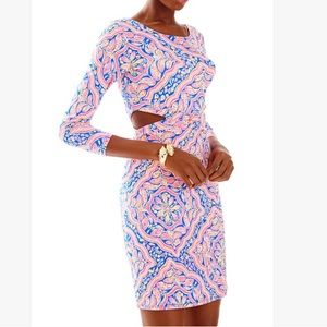 Lilly Pulitzer Pippa dress cant resist